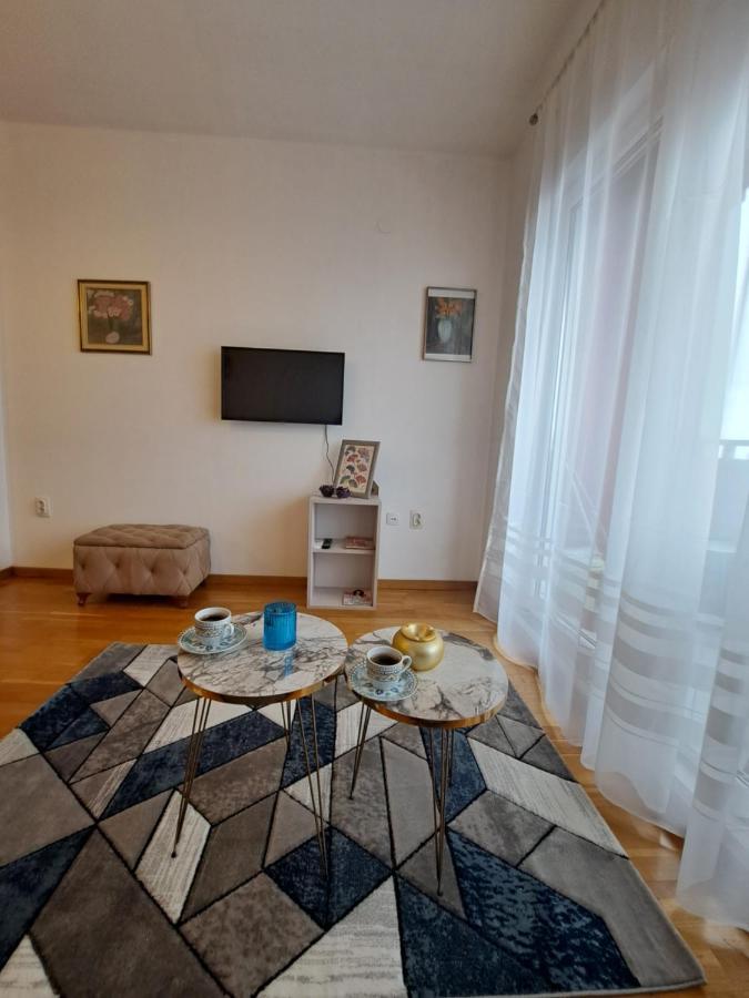 Hana Apartment Podgoriţa Exterior foto